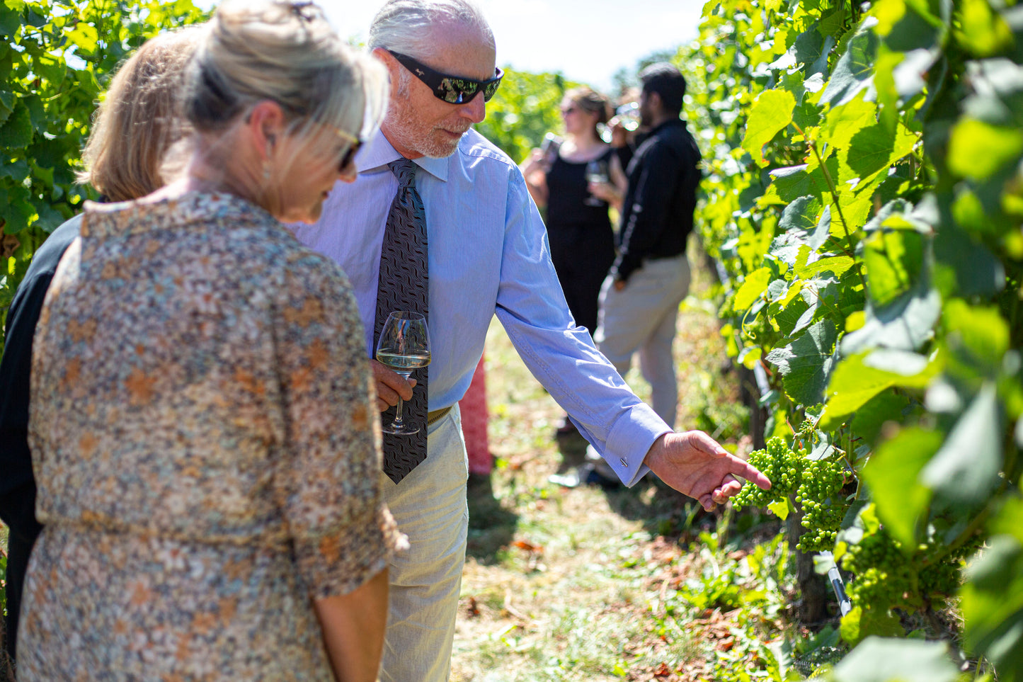 Classic Tour & Tasting Voucher For Two